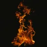 Hotwood Firewood logo